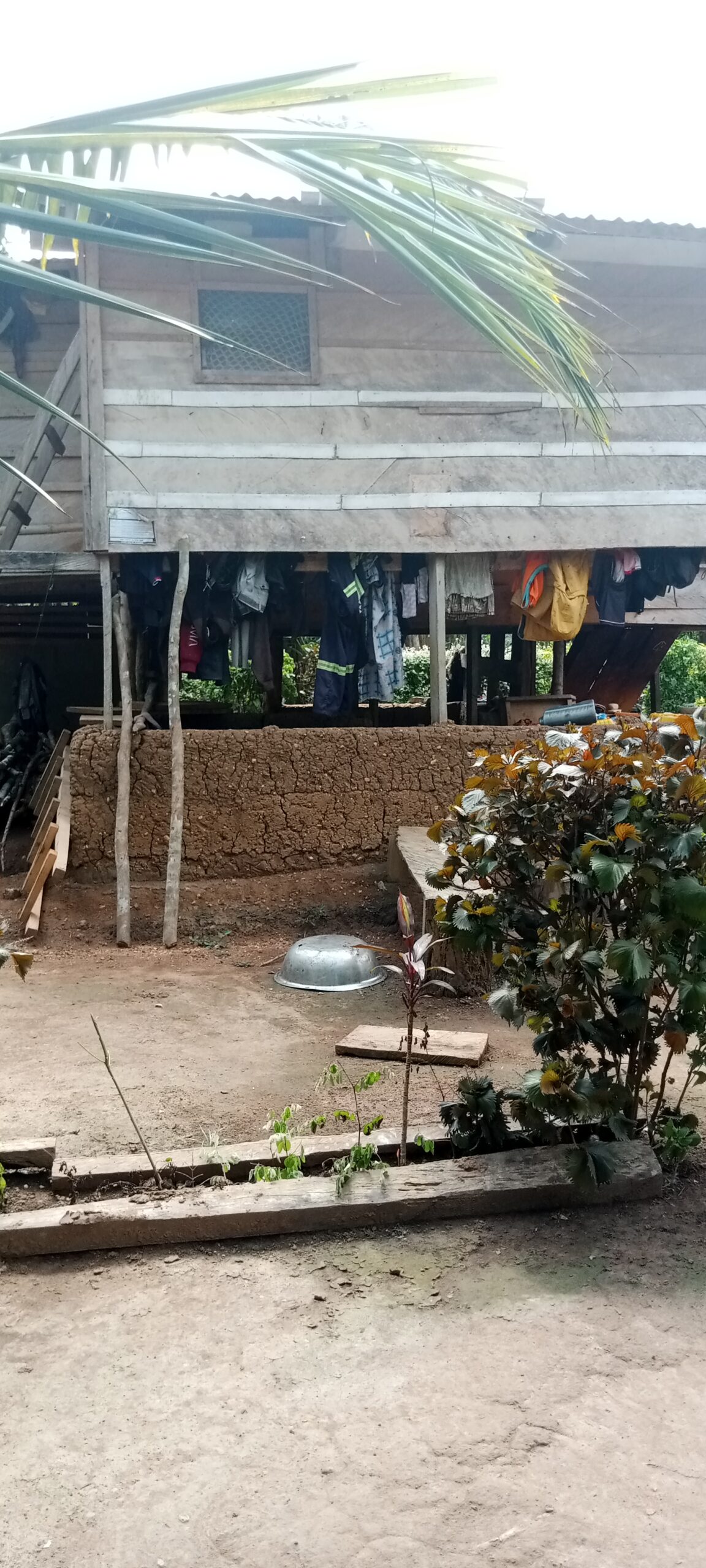 img 20260517 133733 768
